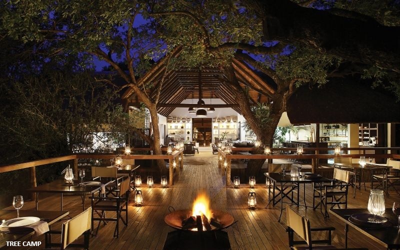 Londolozi Tree Camp 27